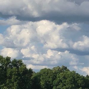 Meet your Posher, Sydney